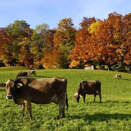 Haus Schneider Apartman Andelsbuch Kültér fotó
